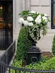 Container Gardening Ideas Recipes 3