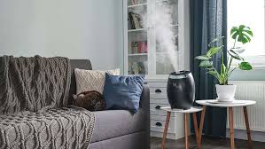 Dry Winter Air Humidify
