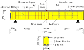 typical beam reinforcement and