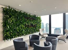 Climate Positive Living Walls Living