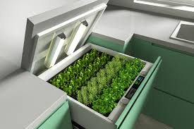 This Herb Garden Was Designed With