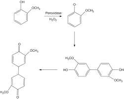 Peroxidase An Overview