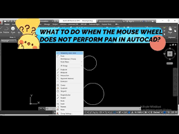 Pan In Autocad