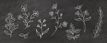 Chalkboard Flowers Ilrations