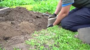 Gardener Building Traditional Vegetable