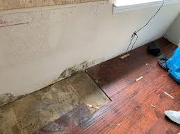 Residential Mold Removal Before And