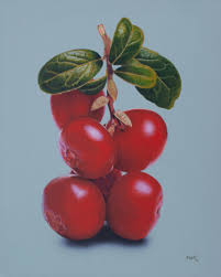 Cranberry 70 Original Artworks