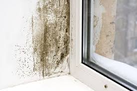 Most Common Types Of Window Damage