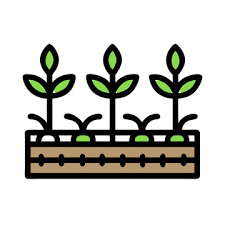 Plant With Roots Icon Images Browse