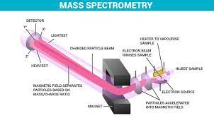 Mass Spectrometry Ms