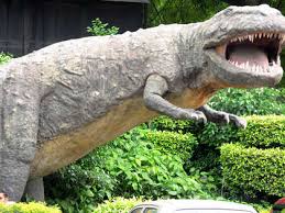 100 Million Year Old Dinosaur Found