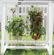 Best Planters For Vegetables And Fruits