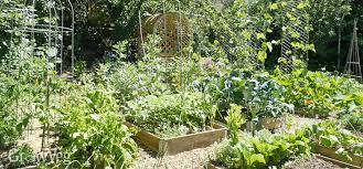 How To Plan A Vegetable Garden 10