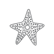 Vector Starfish Or Sea Star Outline Icon