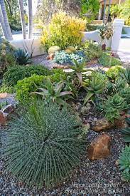 Succulent Garden Design Essentials From