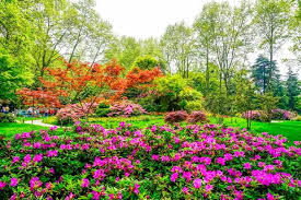 Top 9 Famous Botanical Gardens In India