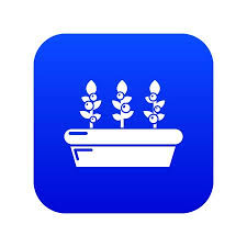 Outdoor Potted Plants Icon Blue Vector
