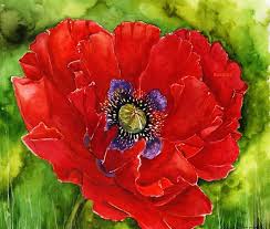 Red Poppy Original Water Color Painting