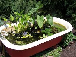 Portable Ponds Garden Org