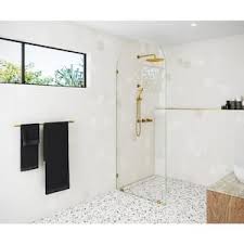 Frameless Shower Door