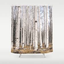 Birch Forest Shower Curtain By Lost Kat