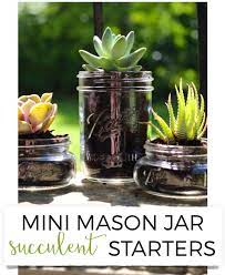 Mini Mason Jar Succulent Starters