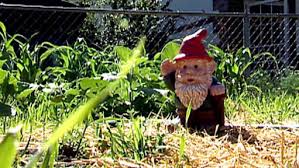 Garden Gnomes Make Charming Garden