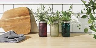 8 Amazing Mason Jar Indoor Garden For
