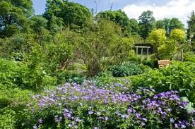 Gardening Tips From National Trust