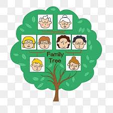 Family Tree Png Vector Psd And