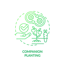 Companion Planting Green Gradient