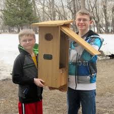 Nestbox Plans For Large Birds