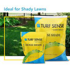 Dense Shade Mix Grass Seed