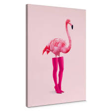 Canvas Pozdniakov Flamingo Boots