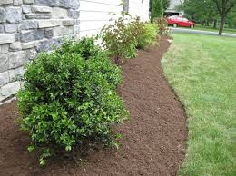 Split Level Landscaping Curb Appeal