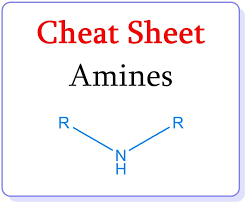 Amines Cheat Sheet For Nursing Nursing