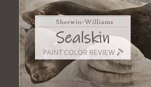 Sherwin Williams Sealskin Review A