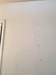Adhesive Squiggles On Walls