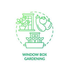 Window Box Gardening Green Gradient