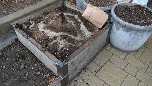 How To Recharge Your Raised Bed Soil