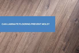 Can Laminate Flooring Stop Mold Growth