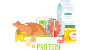 Protein And Heart Health American