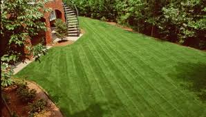 Prevent Thatch And Dethatch A Lawn