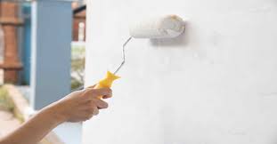 Dulux Paint 1 Litre 2025 Updated