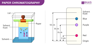 Paper Chromatography Principle