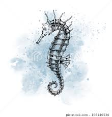 Seahorse With Watercolor Spot Drawing