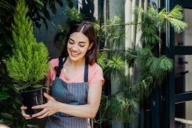 How To Plant Nursery Plants Outdoors