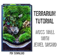 Tutorial Moss Wall Terrarium With