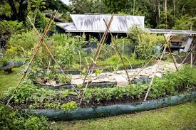 How To Start A Permaculture Garden