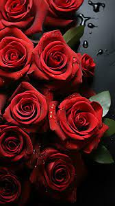 View From Above Red Roses A Romantic
